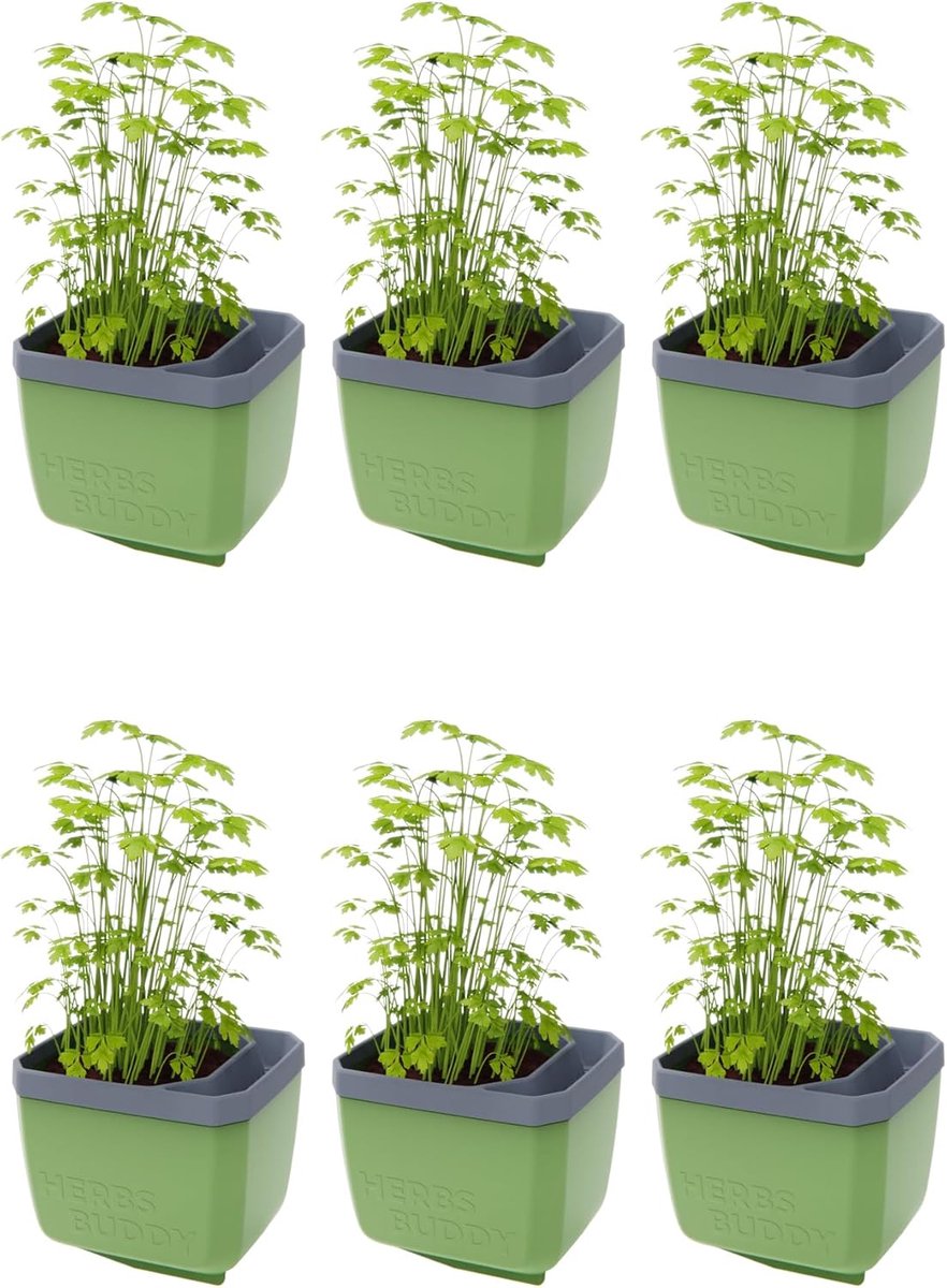 GUSTA GARDEN Herbs Buddy - Zelfbewaterende pot & kruidenpot voor keuken & vensterbank, ideaal voor basilicum, watertank, waterniveau-indicator