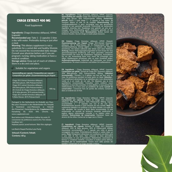 Cupplement - 4 sachets de capsules d'extrait de Chaga 60 pièces - Extrait 20:1 - Comprend un pilulier - Biologique - 400 MG par capsule - Geen poudre - Supplément - Superaliment - Champignon - Champignon