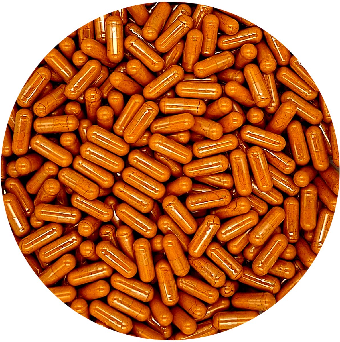 Kurkuma met Piperine Caps 600mg 1000 Stuks - 1000 Capsules - Holyflavours