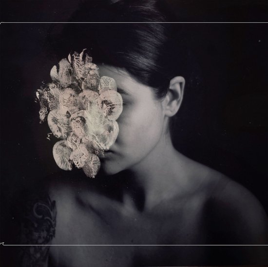 Hybrid Photography - cover