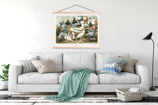 Affiche scolaire - Pigeons - Vintage - Dessin - 120x90 cm - Lattes vierges
