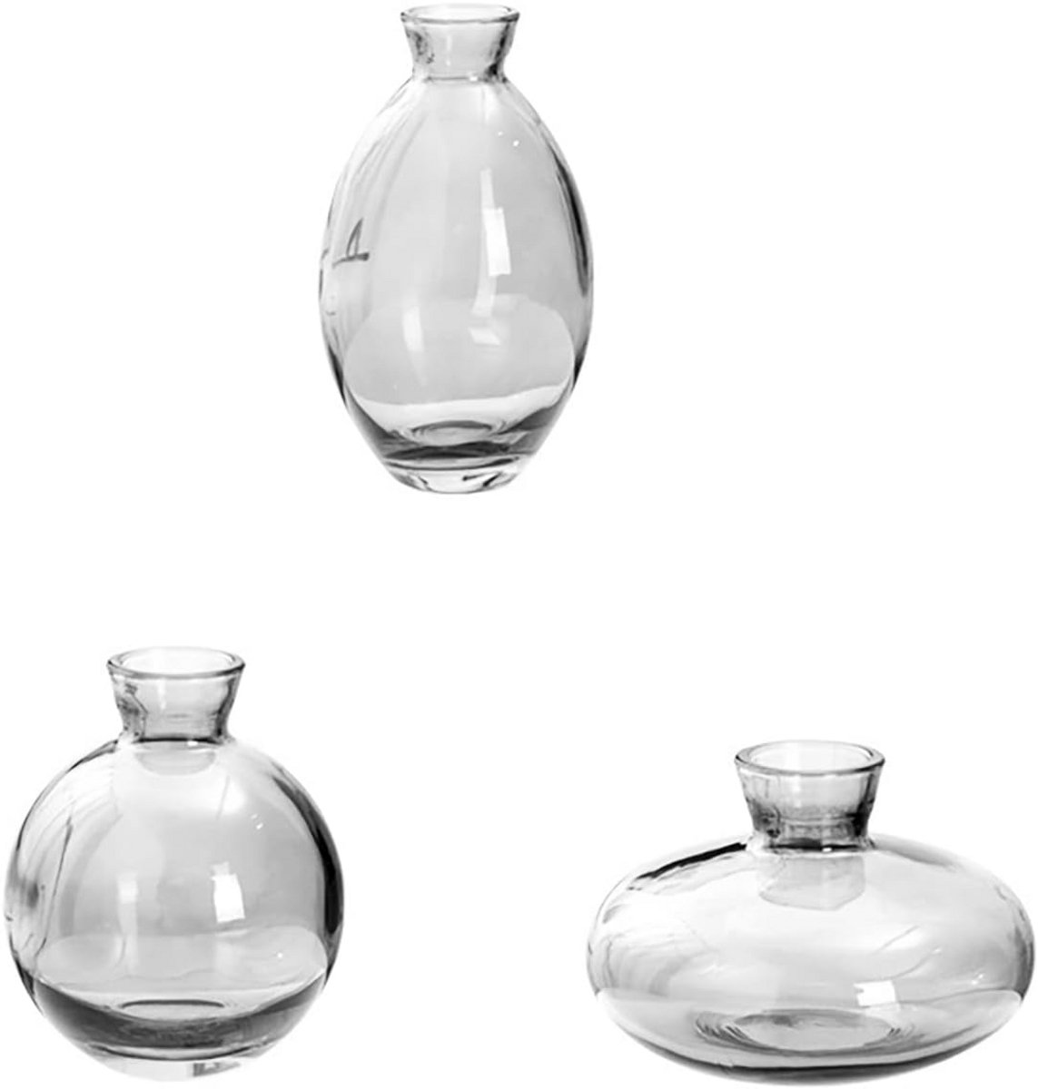 Set van 3 Glazen Hydrocultuur Vazen voor Planten en Bloemen