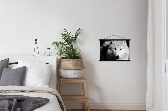 Fermer voir loup en noir et blanc affiche textielposter lattes noires 60x40 cm