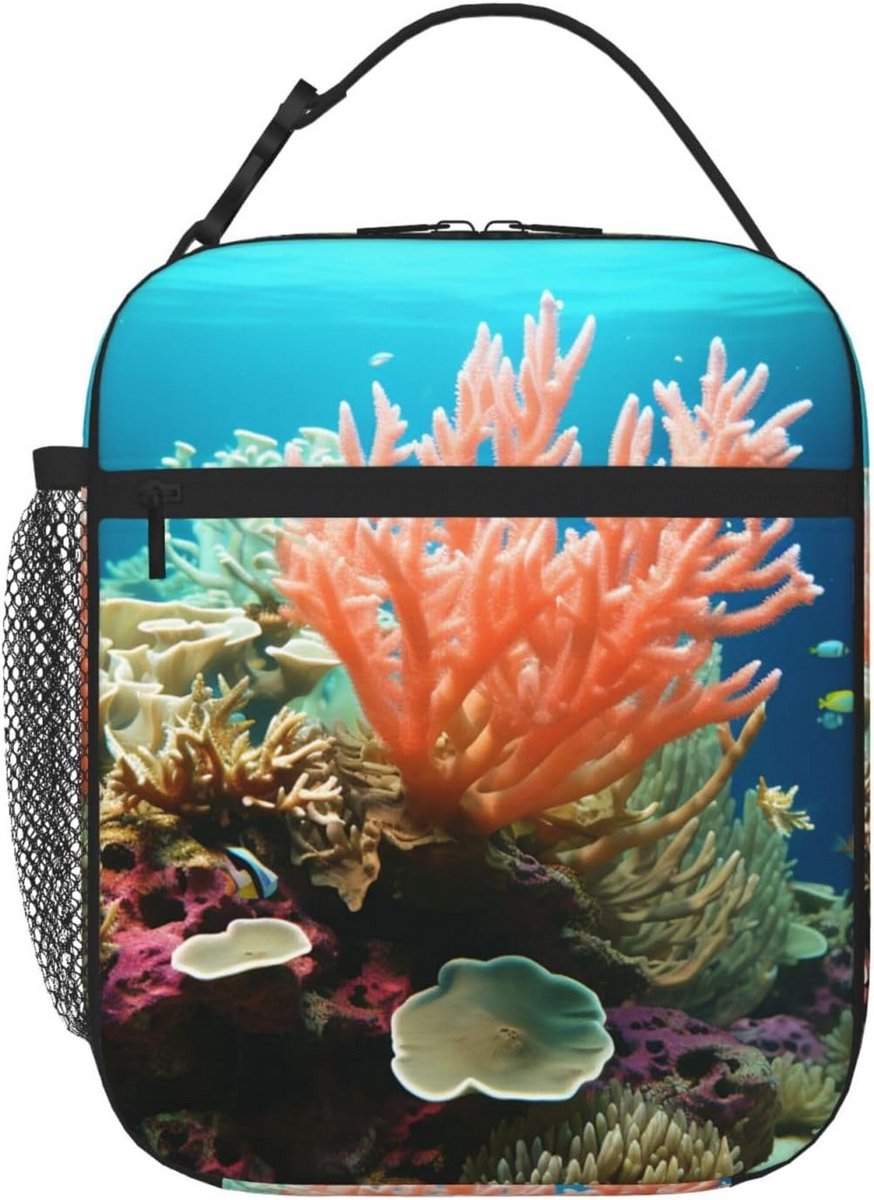Geïsoleerde Lunchtas Herbruikbare Lunchbox voor Dames en Heren