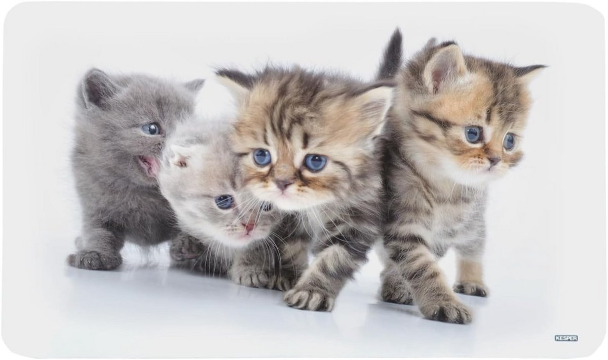 Snijplank met Kattenprint - Melamine Keukenhulp