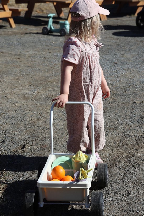 Een klein meisje met een roze pet en een roze tuinbroek duwt een zandkleurige Plasto kinderwagen met speelgoed en fruit.