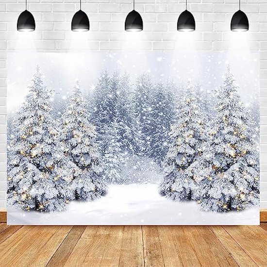 Toile De Fond Photo D'hiver - Paysage De Neige Et Noël - Bannière Décoration Fête