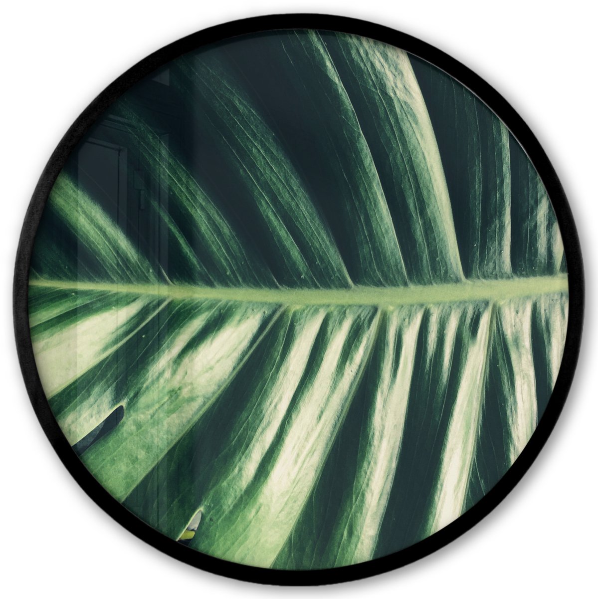 FrameYourWall Poster in lijst Rond - Fotolijst 40x40 cm - Posters - Tropisch - Natuur - Jungle - Ronde posterlijst zwart - Decoratie - Wanddecoratie woonkamer - Muurdecoratie slaapkamer Multicolor