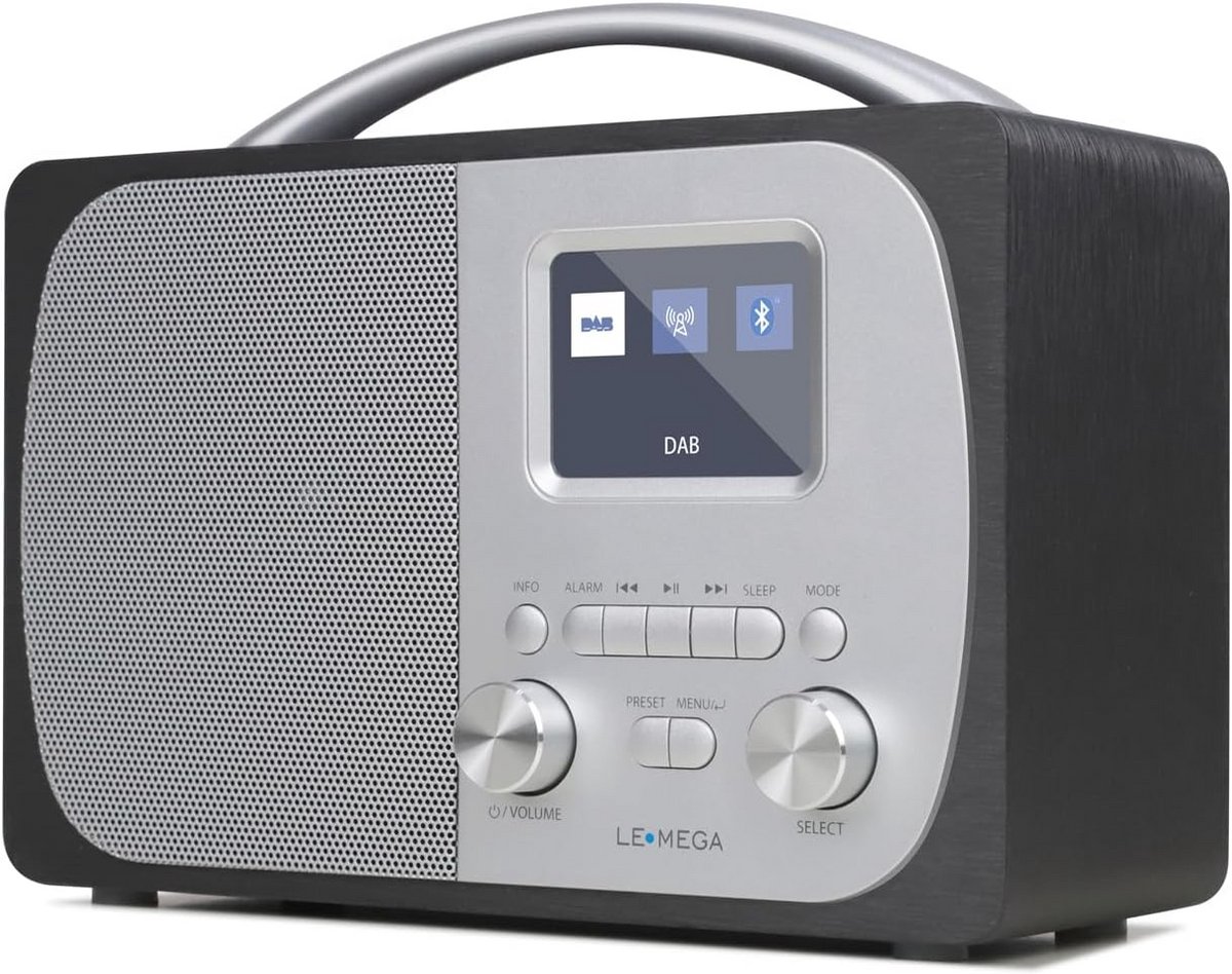 Draagbare DAB/DAB+ Digitale Radio met Bluetooth, FM Radio en Dubbele Alarmfunctie