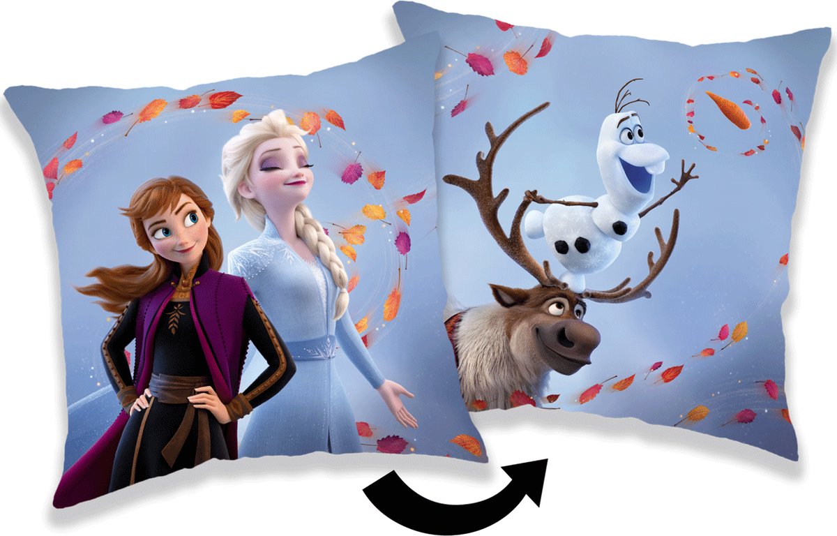 Disney Frozen Sierkussen Wind - 35 x 35 cm - Polyester Blauw