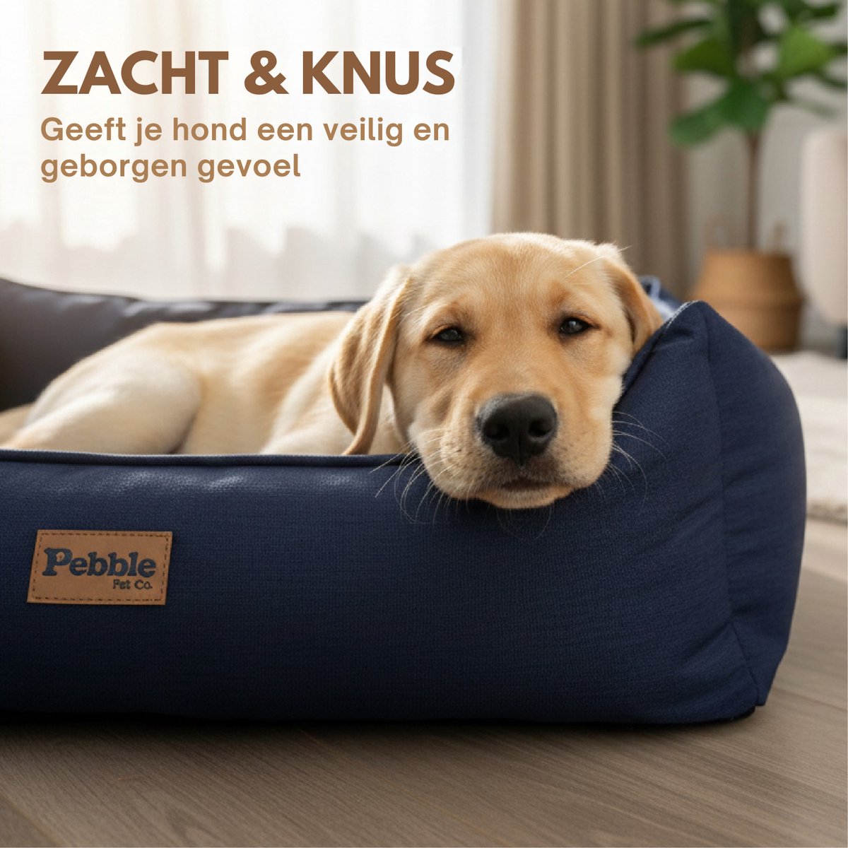 Pebble Hondenmand 65 x 56 cm Blauw - Orthopedische Hondenbed - Kattenmand - Hondenkussen - Dierenkussen - Voor kleine tot middelgrote honden – foto 4