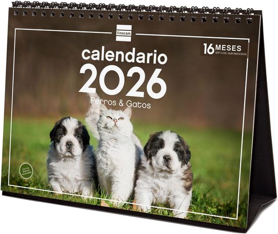 Finocam Tafelkalender 2026, Maandoverzicht Januari December  12 Maanden Kalender 2026 Om Te Noteren Neutrale Maandplanner Spaans 2853785003