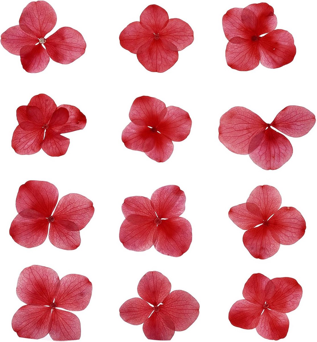 Drooggeperste Bloemen voor Resin, Nagelkunst, Sieraden en Scrapbooking - 48 Stuks