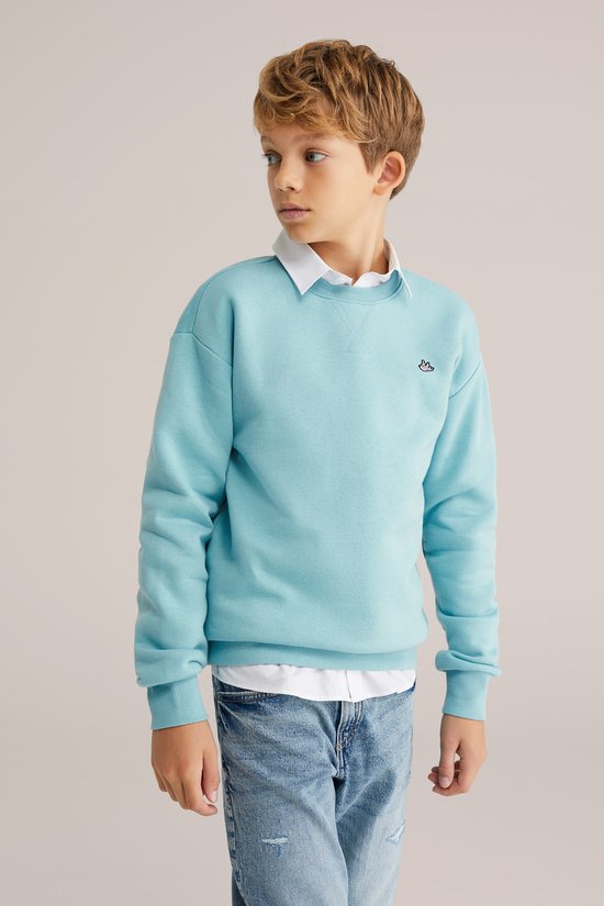 WE Fashion Jongens regular fit sweater