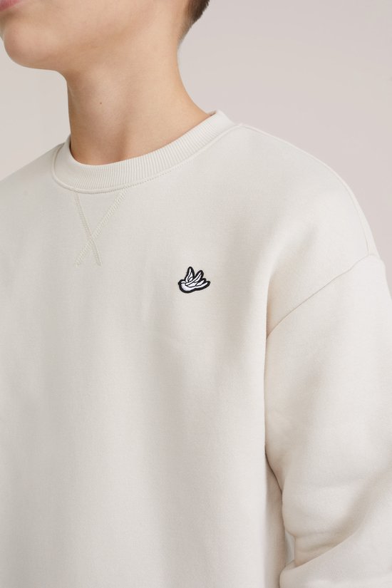 WE Fashion Jongens regular fit sweater