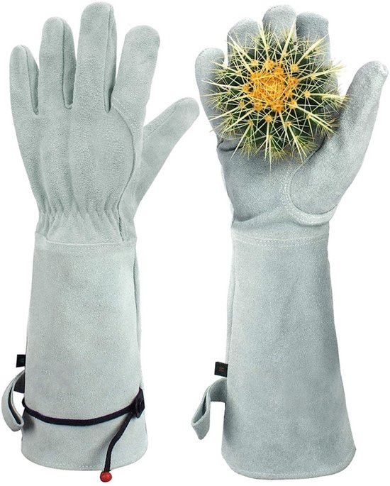 Tuinhandschoenen - Doornbestendig voor het snoeien van rozen en cactussen - Lange...