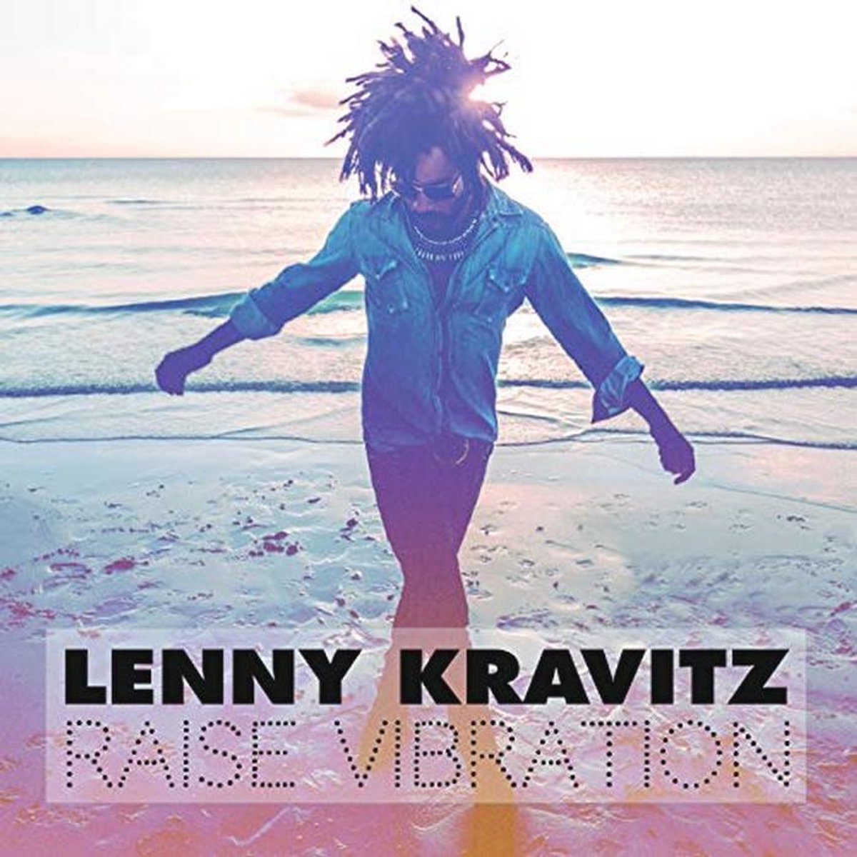 Verhoog je Vibratie met Muziek van Lenny Kravitz