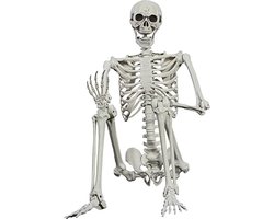Halloweenskelet, 165 cm, realistische levensgrootte, menselijk skelet, botten met beweegbare gewrichten, voor Halloween, spookhuisdecoratie (1)