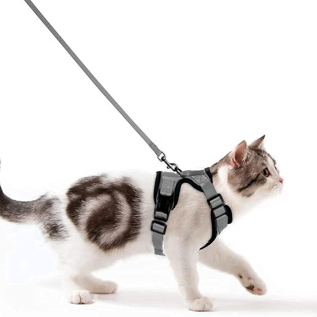Stunq® Veilig en Comfortabel Kattenharnasysteem met Reflecterende Elementen en Verstelbare Banden