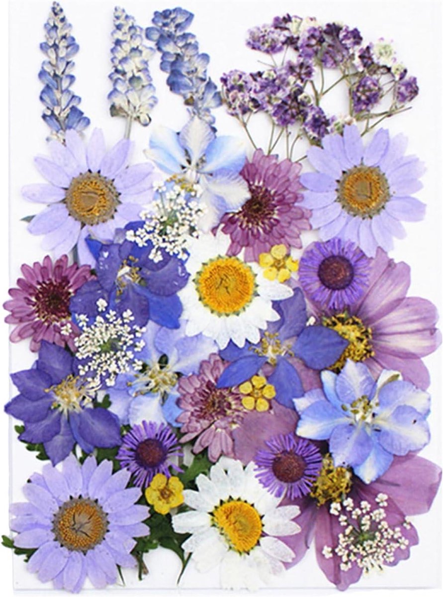 Cosensi - Gedroogde bloemen mix voor creatieve projecten - 33 stuks - Decoratief - Kaarsen maken - Hars - Scrapbooking - Handwerk - Decoratie