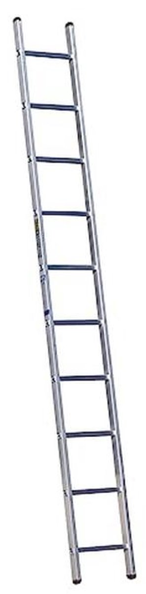 2,9 m Enkele Sectie Ladder voor Professioneel Gebruik