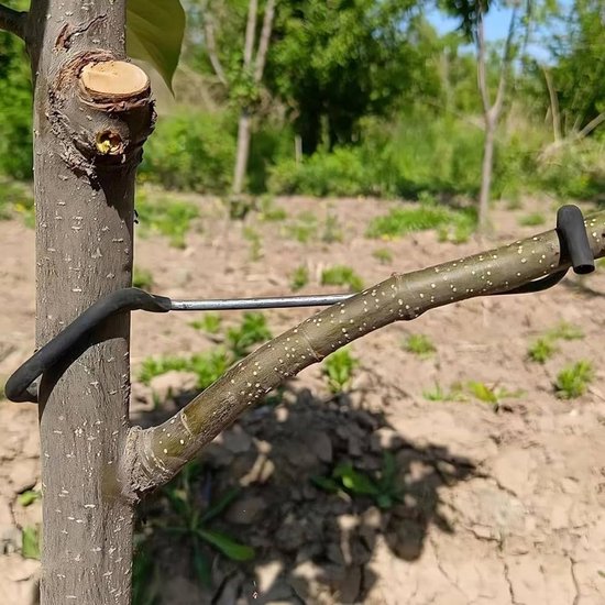 Boomtak Spreaders Bonsai Shaper Fruit Boom Twig Puller Universele