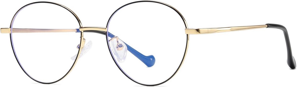 Blauw Licht Blokkerende Bril Ronde Transparante Computerbril voor Dames en Heren