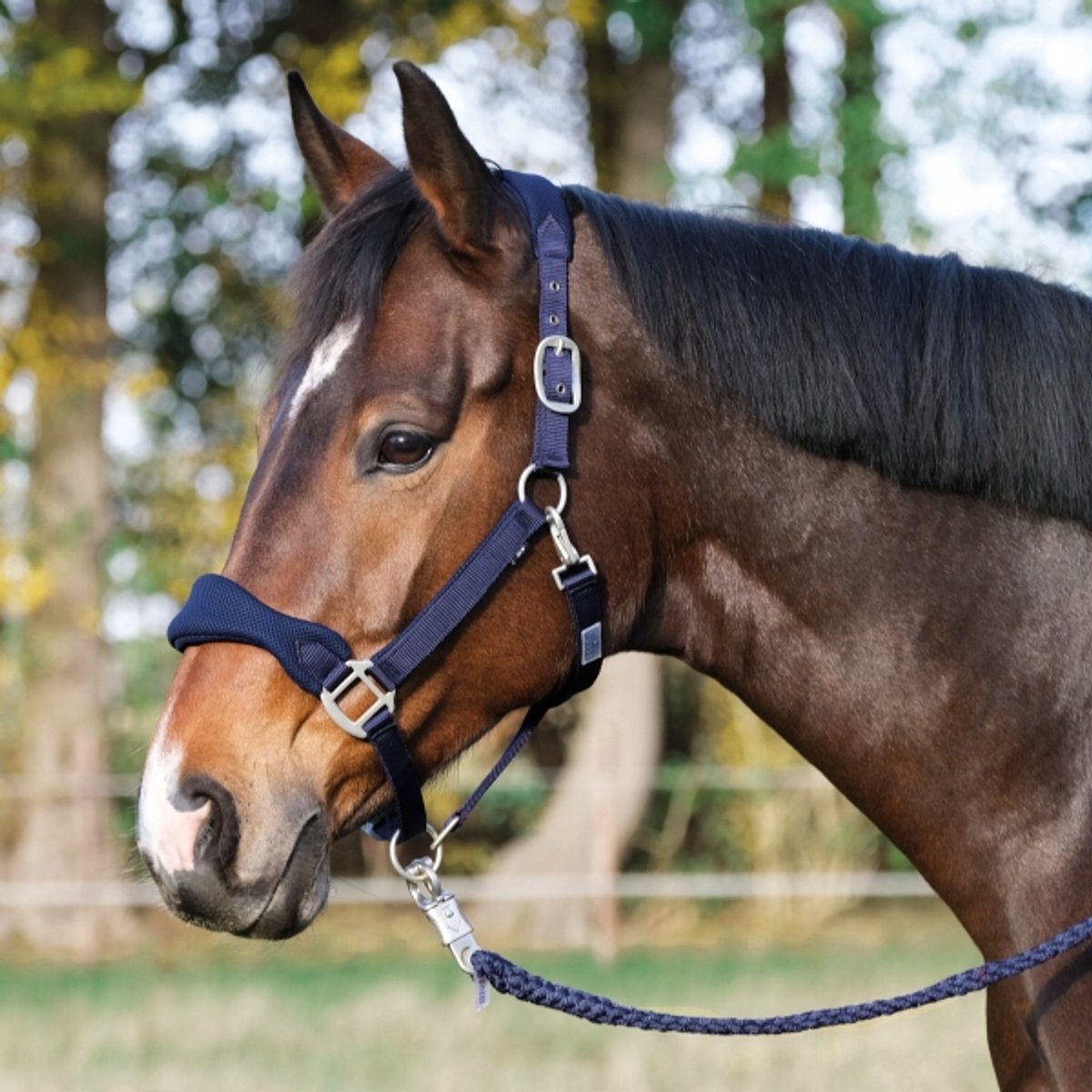 Busse Soft Air Kantara voor Pony's - Ademend & Comfortabel