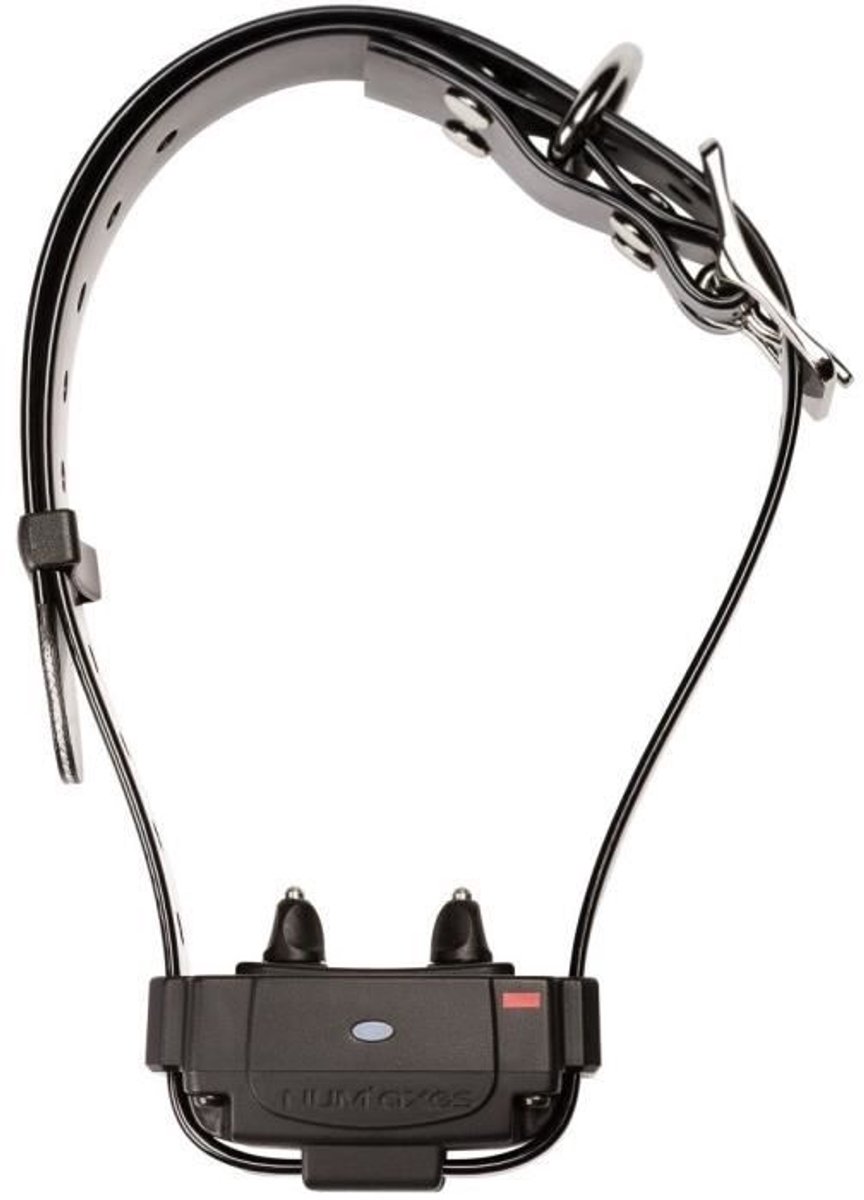 Anti-escape collar - NUM'AXES - CANIFUGUE FUG1034 - Black