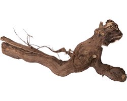 Druivenstronk 40 cm | natuurlijk klimhout en decoratie voor terrarium of interieur 100% natuurlijk