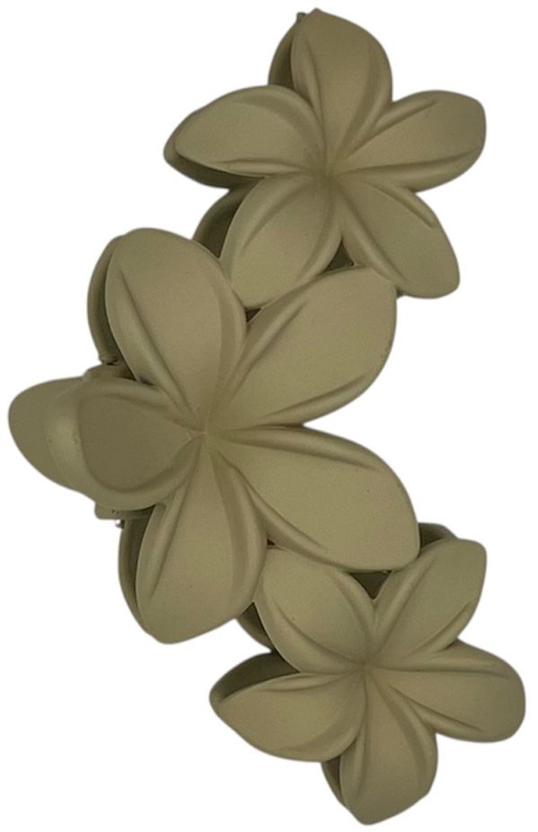 Haarklem - haarklauw - haarclip - beige - meisjes - dames - bloemen