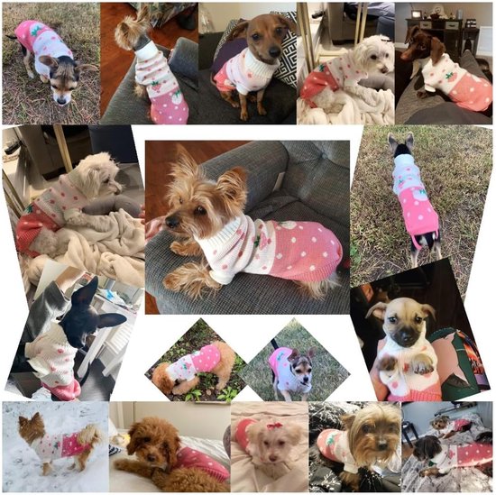 Collage van honden in roze gebreide truien met aardbeienprint.