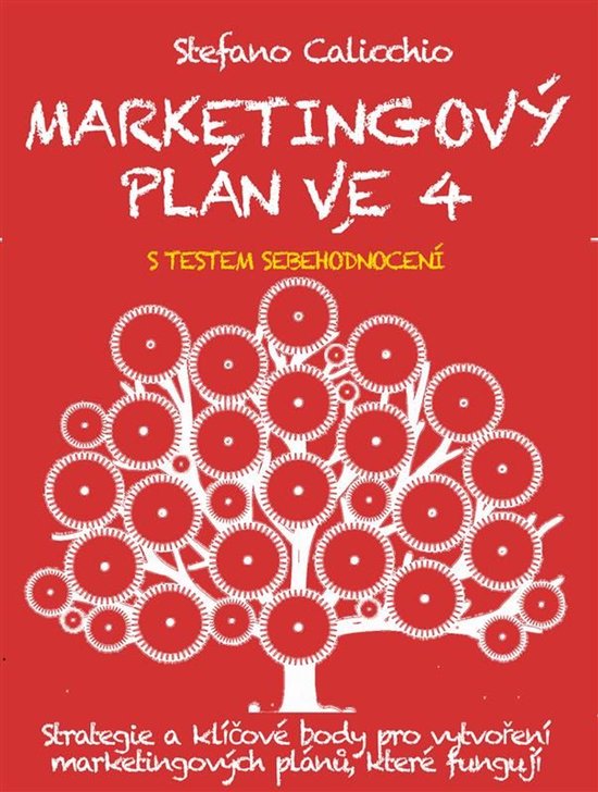 MARKETINGOVÝ PLÁN VE 4 KROCÍCH. Strategie a klíčové bo ... - cover