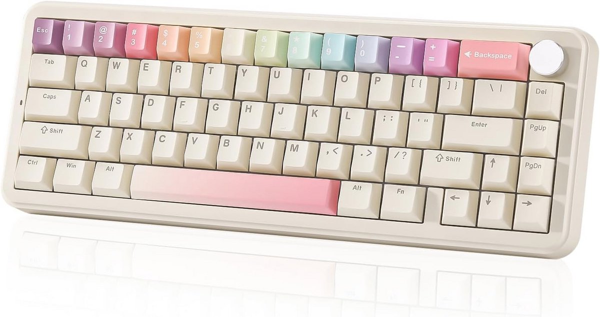 Draadloos Mechanisch Toetsenbord met RGB Verlichting en Hot Swappable Switches - 65% Compact Design voor Windows en Mac