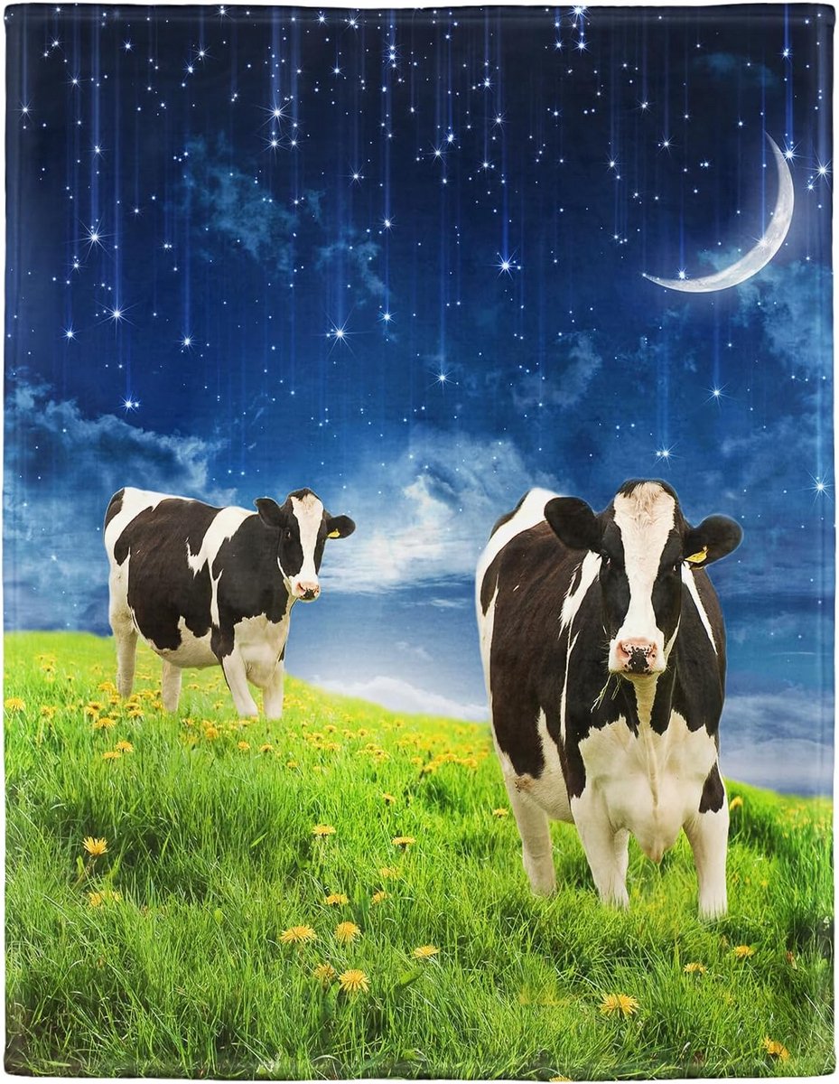 Zachte Knuffeldeken 150 x 200 cm Flanel Fleece Deken voor Thuis en Buiten