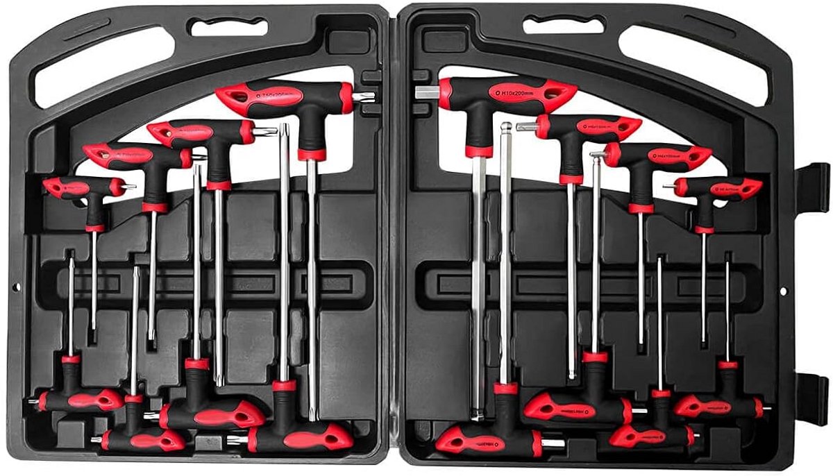 21 Delige Inbussleutel en Torx Sleutel Set met T-Handvat in Opberbox