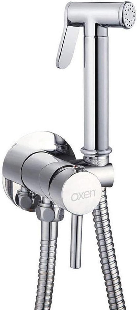 WC-kraan met handdouche voor bidet - eengreepsmengkraan voor intieme hygiëne met koud en w