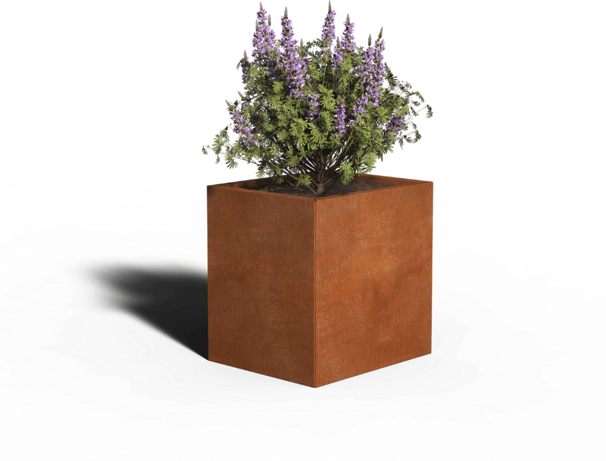 Cortenstaal Plantenbak Rechthoek | 60 x 50 x 40 | Zonder bodem