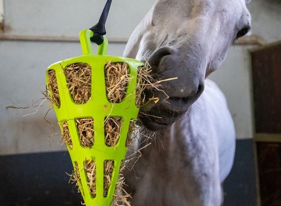 Hay Slowfeeder Fun&Flex 22 cm – Hay net horses - Slowfeeder horses – Suitable for grazing animals – Against stables – Up to 1 kg of hay - Green