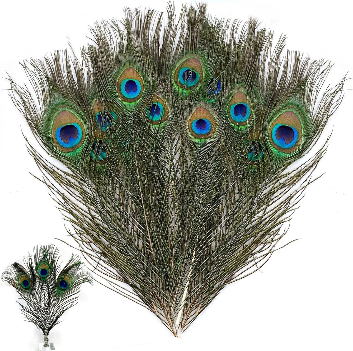 Ronte - Decoratieve kunstmatige pauwenveren set - Natuurlijke ambachtelijke staart- en pauwenoog veren - 15 stuks - 25-30 cm - Voor knutsel- en decoratieprojecten