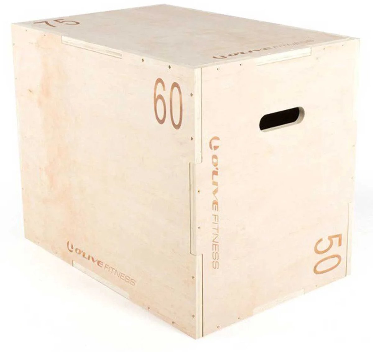 Olive Wood Adjustable Plyo Box Zilver 60x50x75 cm