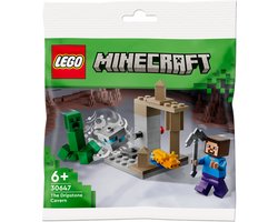 foto van LEGO 30647 Minecraft De Druipsteengrot polybag