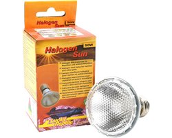 Halogeen Warmtelamp voor Reptielen - 75 W Terrariumlamp met Dimbare Functionaliteit