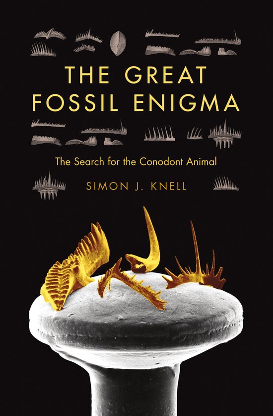 The Great Fossil Enigma the Great Fossil Enigma: The Search  ... - cover