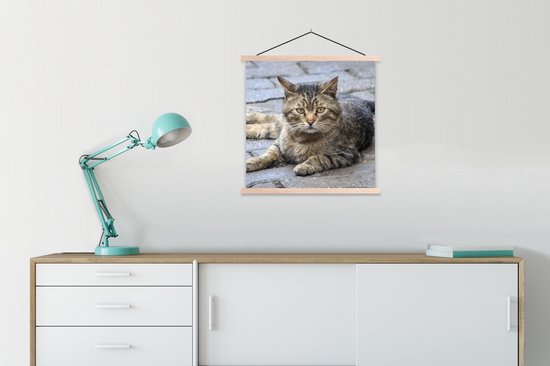 Porte-affiche avec affiche - Affiche scolaire - Chat - Animal - Marron - Filles - Enfants - Garçons - Enfant - 90x90 cm - lattes vierges