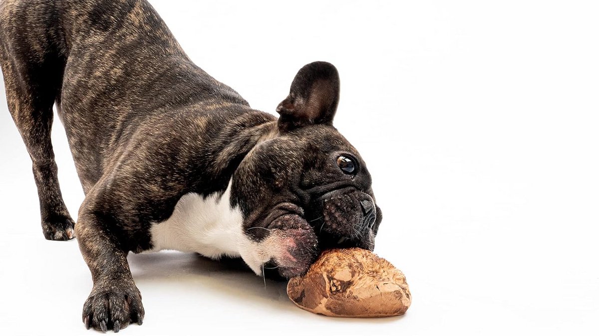 Natuurlijke Kauwwortel voor Hond - Tandverzorging en Rustgevend