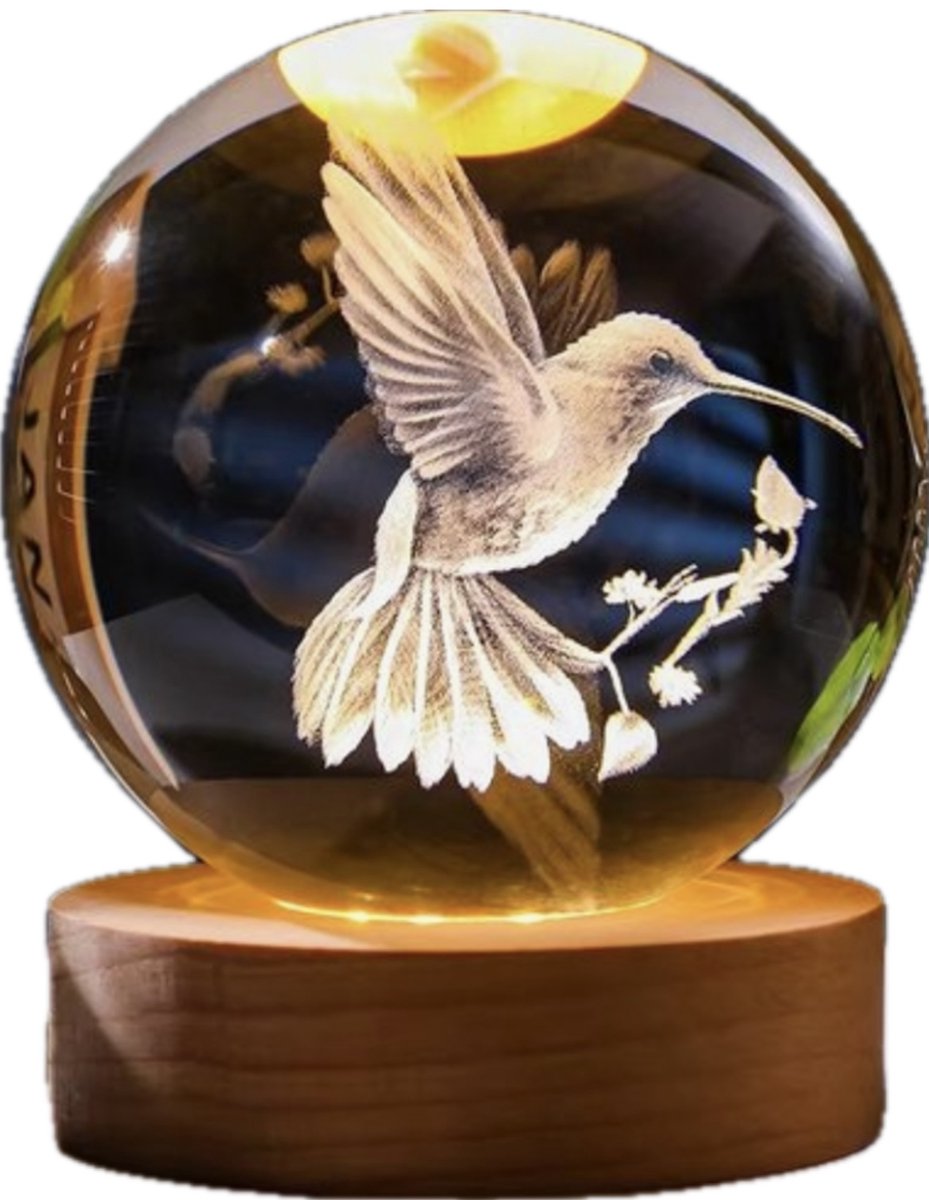 DMG Supply 3D Kristallen Bol Lamp - Vogel - USB Oplaadbaar - LED Lamp - Nachtlamp - Tafellamp - Bureaulamp