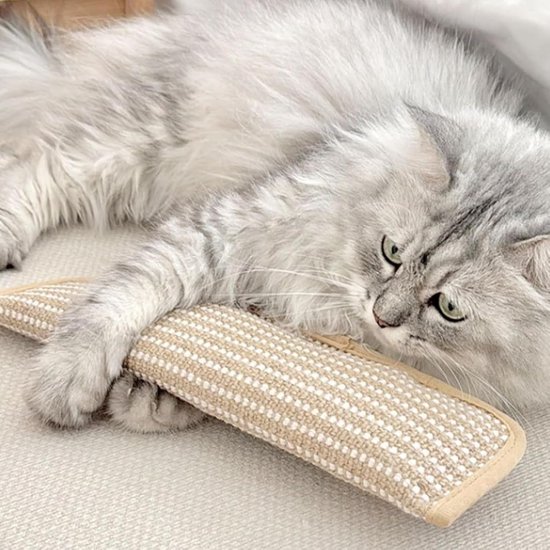 Interactief Kattenspeeltje 2-Stuks - Met Kattenkruid en Zachte Sisal - Bijt- en Kraalvast voor Kittens & Volwassen Katten - Geschikt voor Binnen