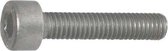 inbusbout cilinderkop rvs (A2) M12x25 (25st.)