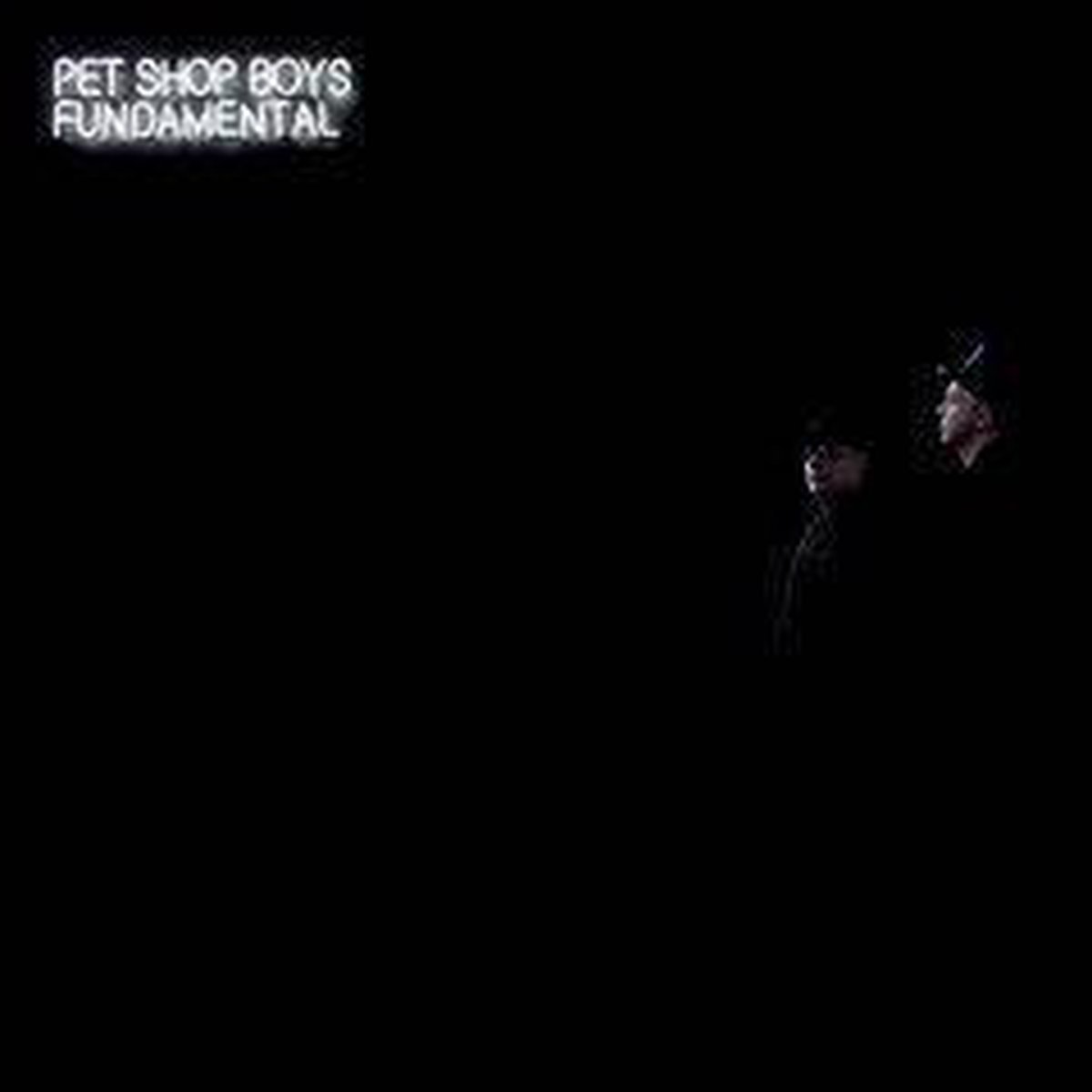Fundamental - Pet Shop Boys